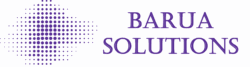 Barua Solutions